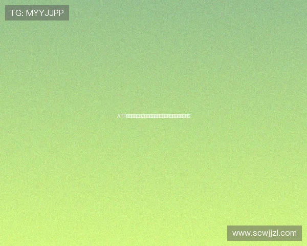 ATP最新排名公布阿尔卡拉斯继续领跑男子网坛竞争愈发激烈